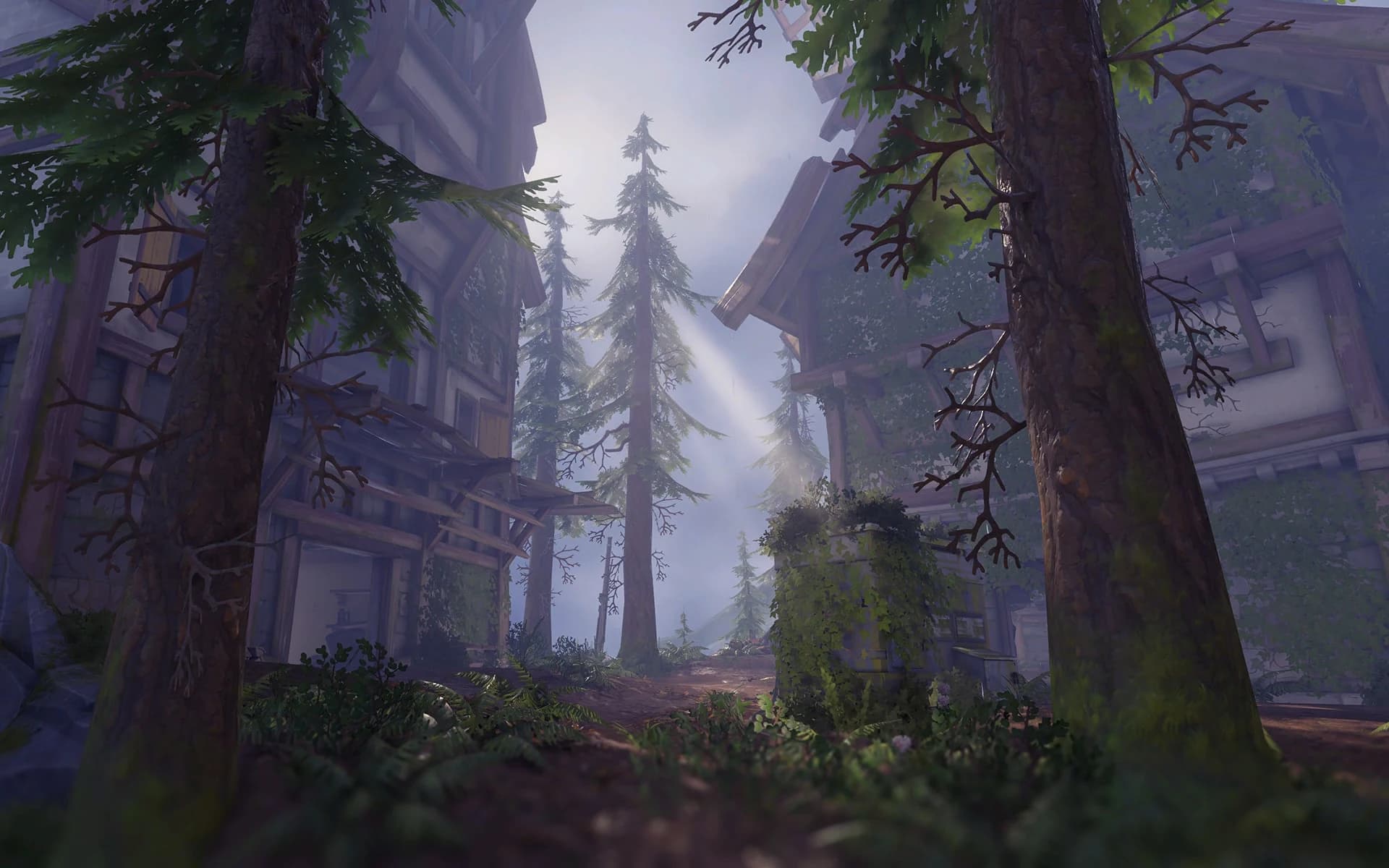 Black Forest (Winter) thumbnail